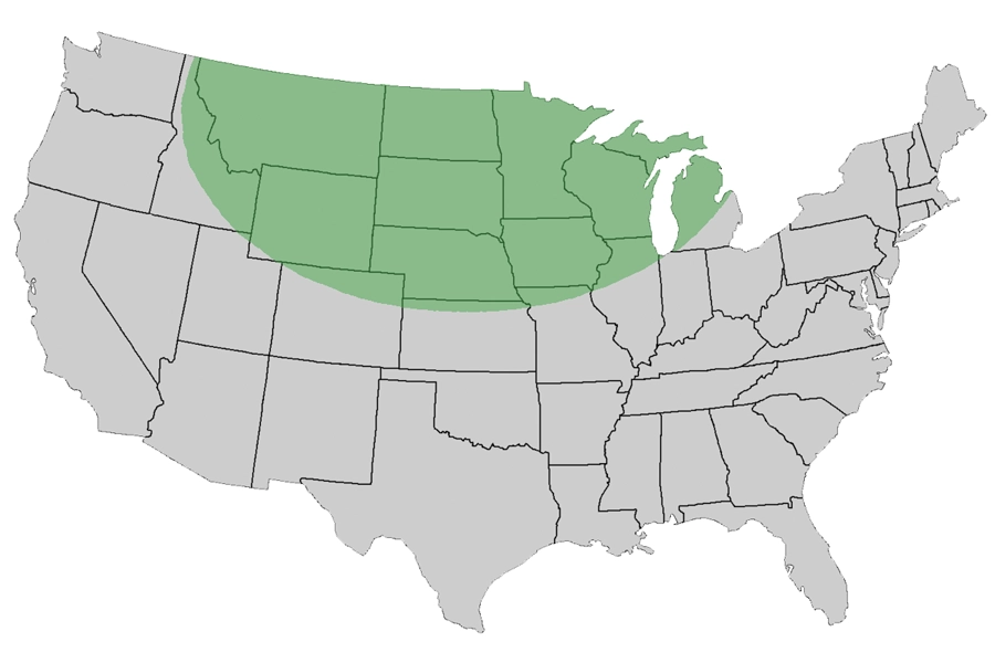 US map showing Treely's shipping radius